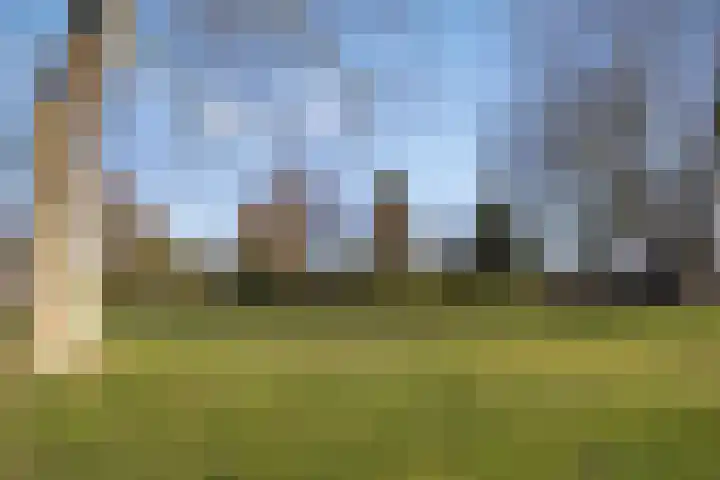 Teutenstraat 16 Budel thumbnail 31