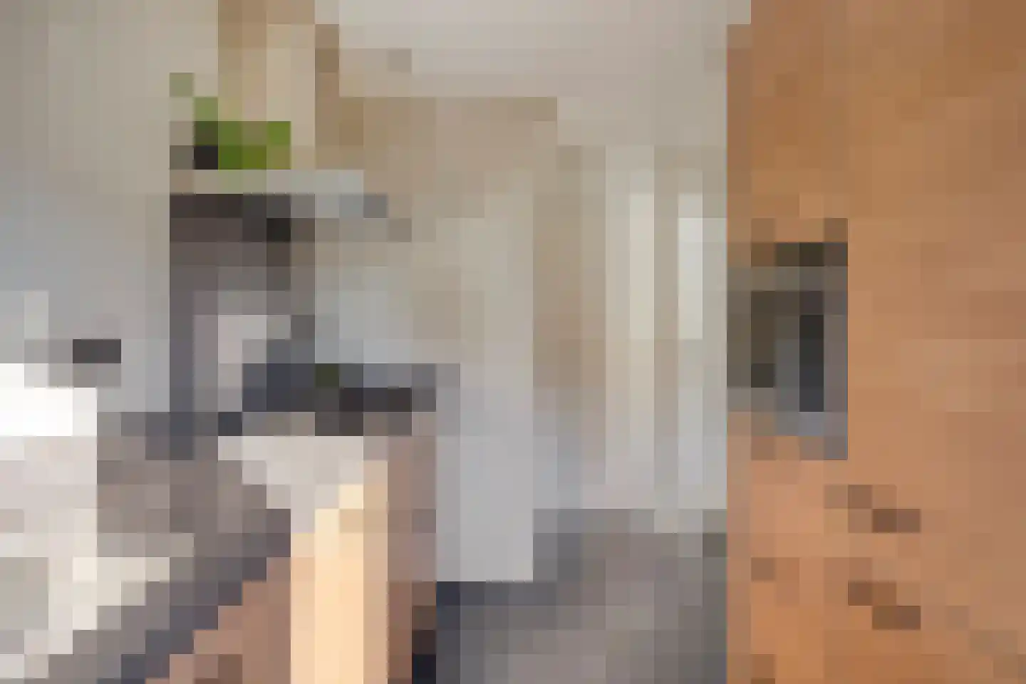 Teutenstraat 16 Budel thumbnail 6