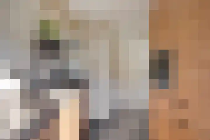 Teutenstraat 16 Budel thumbnail 6