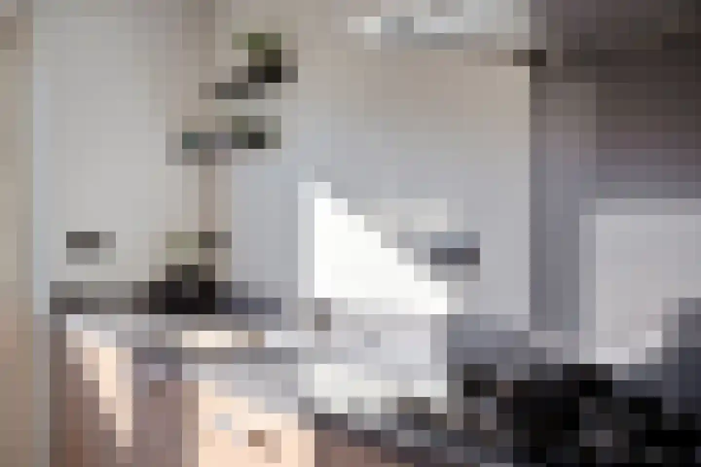 Teutenstraat 16 Budel thumbnail 8