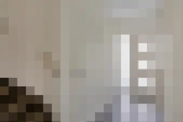 Teutenstraat 16 Budel thumbnail 9