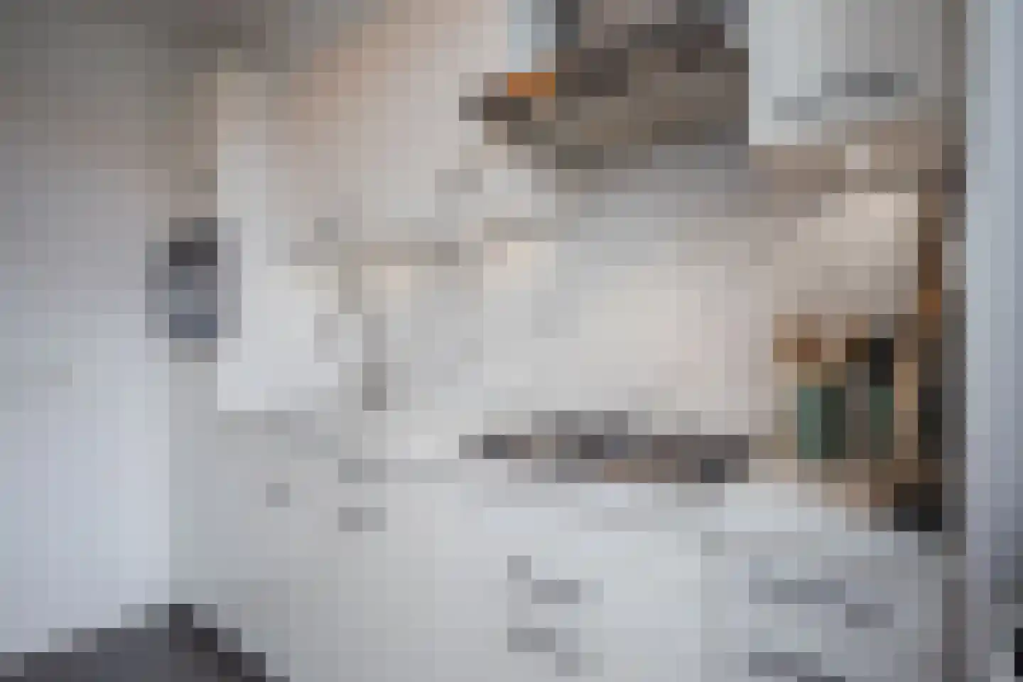 Texandrilaan 43 Apeldoorn thumbnail 12