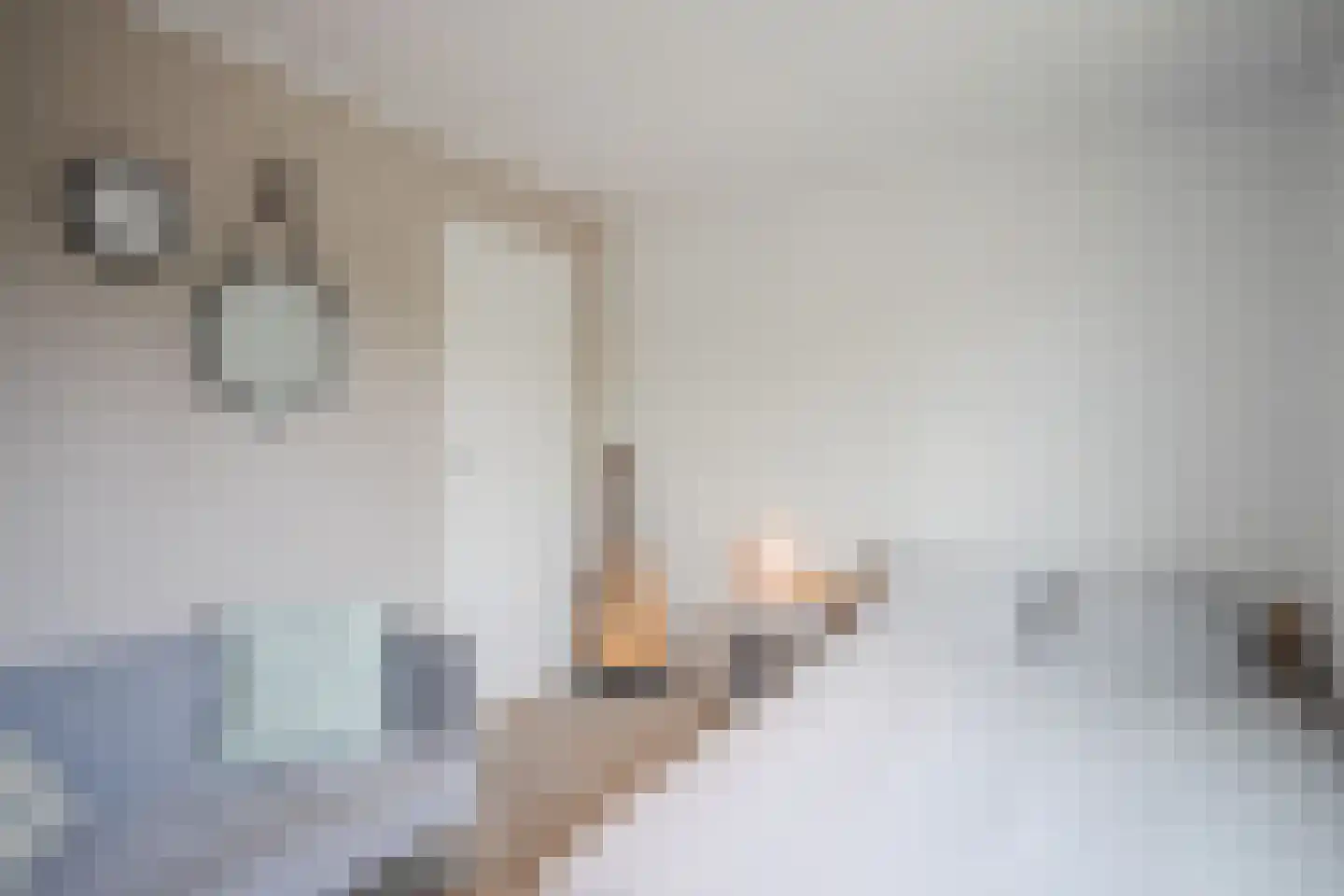 Texandrilaan 43 Apeldoorn thumbnail 27