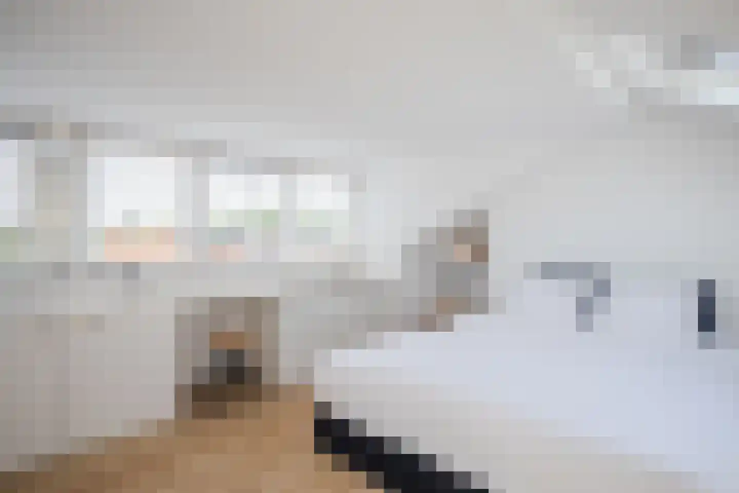 Texandrilaan 43 Apeldoorn thumbnail 36