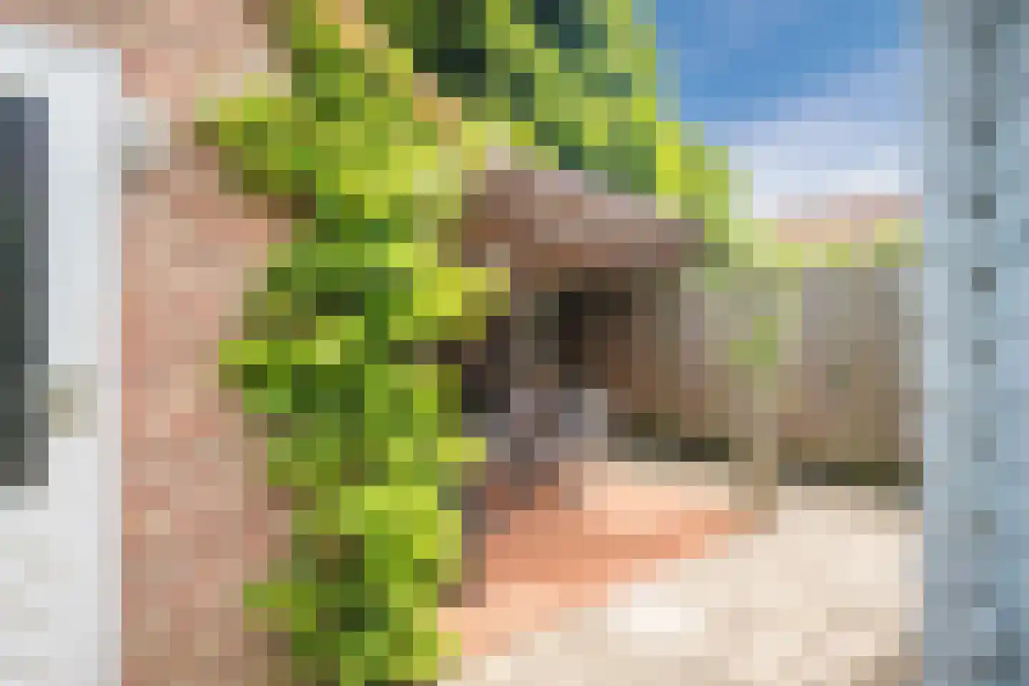 Texandrilaan 43 Apeldoorn thumbnail 49