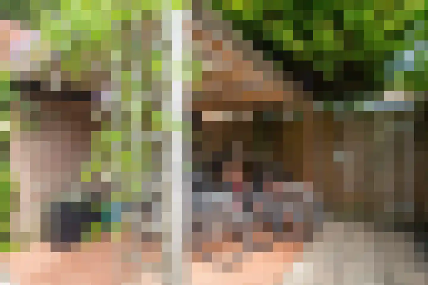 Texandrilaan 43 Apeldoorn thumbnail 52