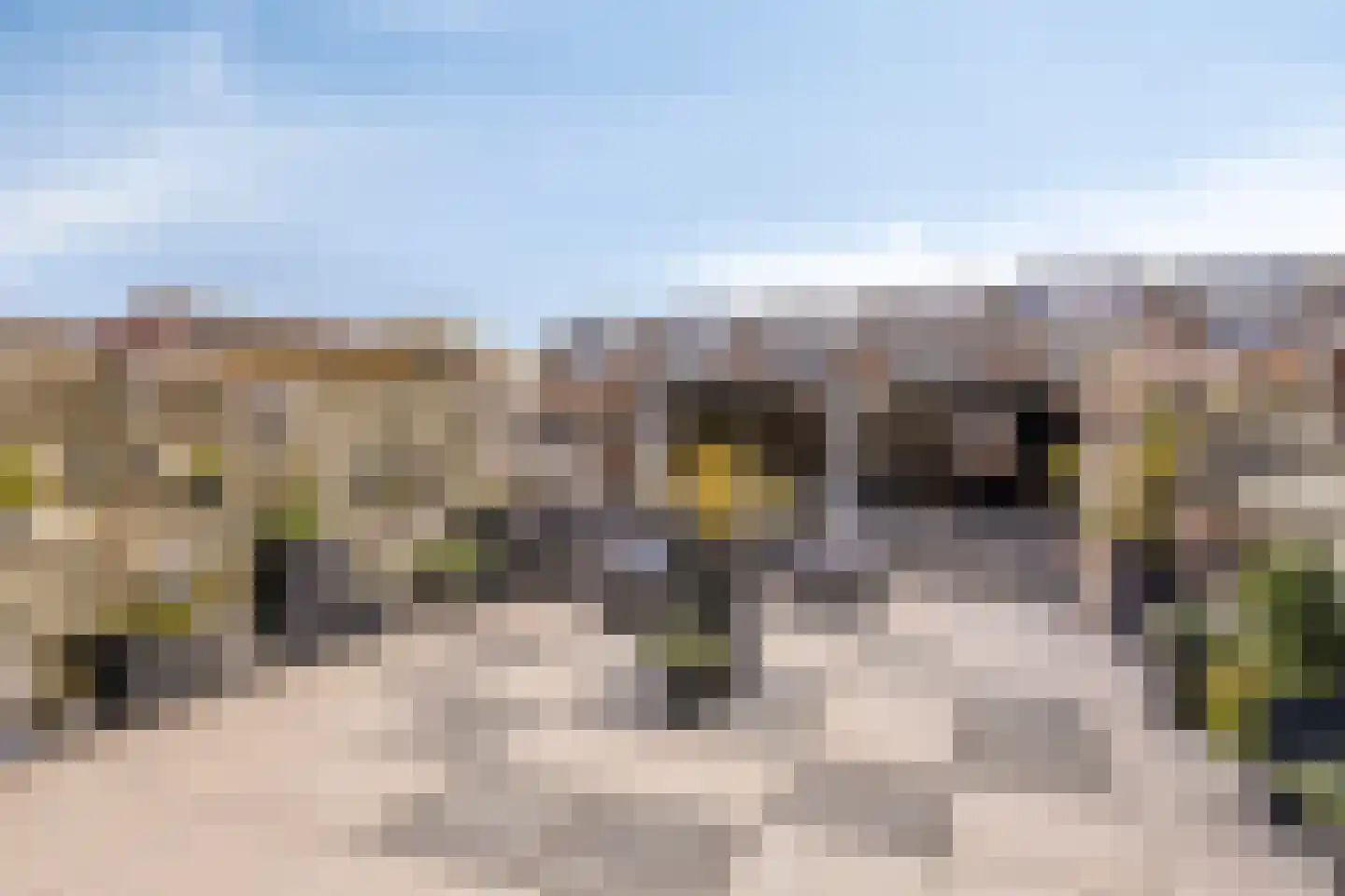 Texashof 32 IJsselstein thumbnail 26