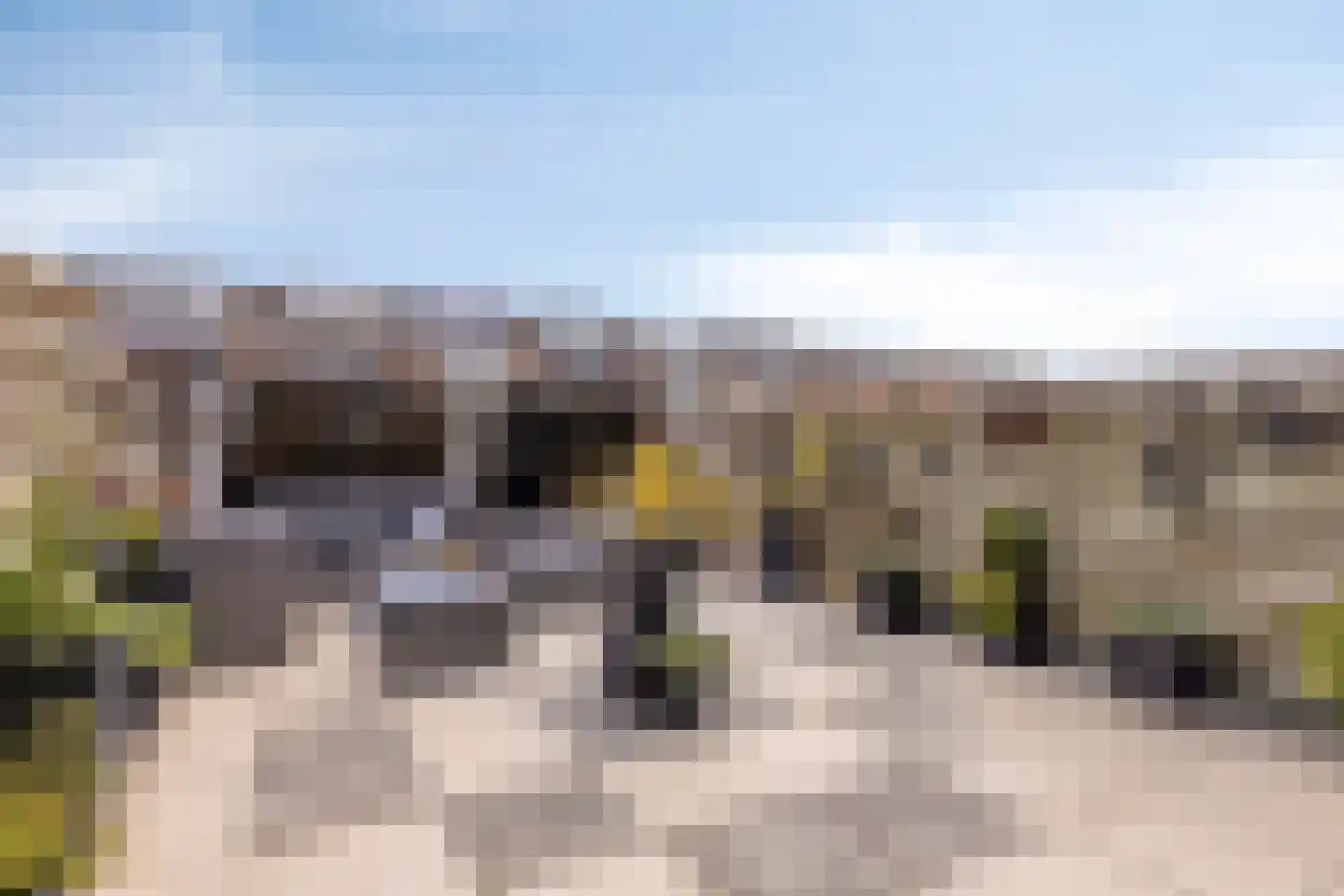 Texashof 32 IJsselstein thumbnail 27