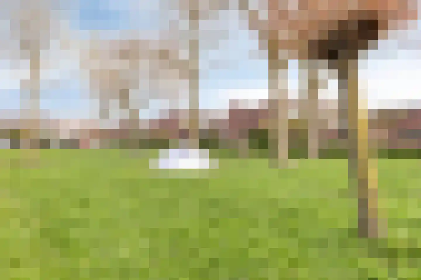 Texashof 32 IJsselstein thumbnail 32