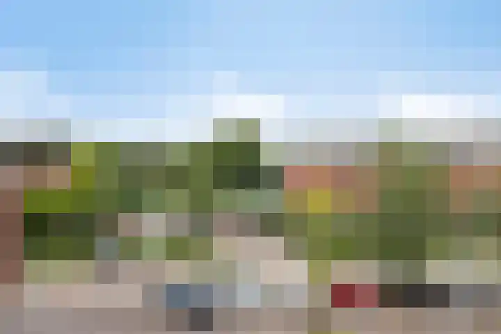 Texashof 44 IJsselstein thumbnail 30