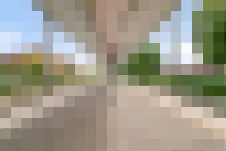 Texashof 44 IJsselstein thumbnail 32