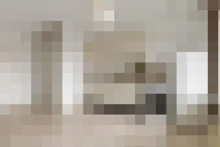 Texel 167 Utrecht thumbnail 16
