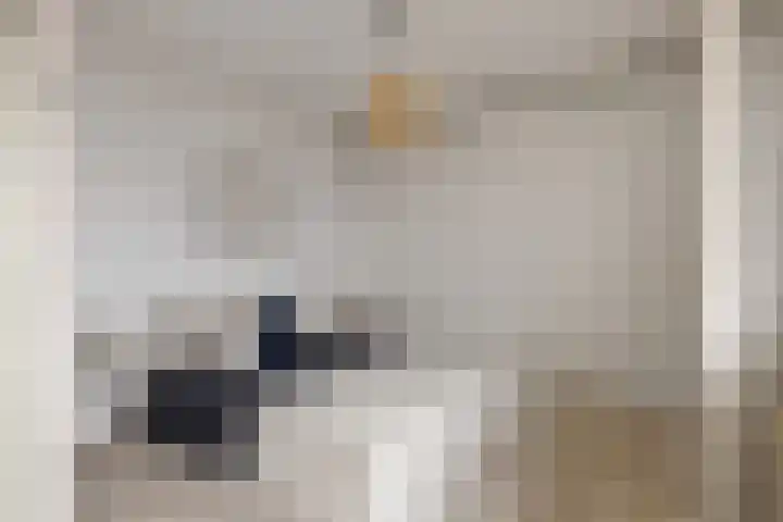 Texel 167 Utrecht thumbnail 18