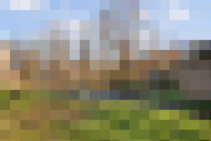Texel 167 Utrecht thumbnail 26