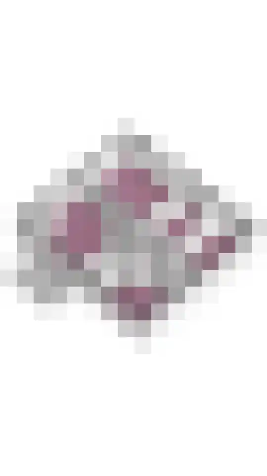 Texel 167 Utrecht thumbnail 28