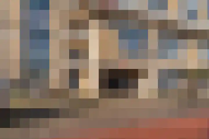 Texel 167 Utrecht thumbnail 5