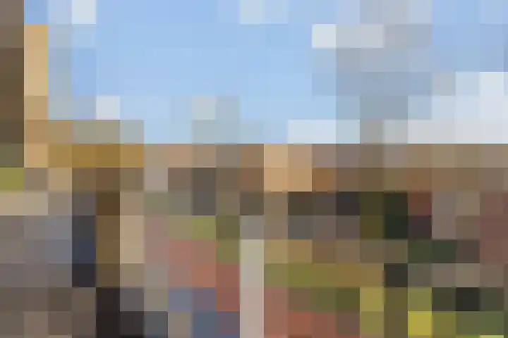 Texel 167 Utrecht thumbnail 7
