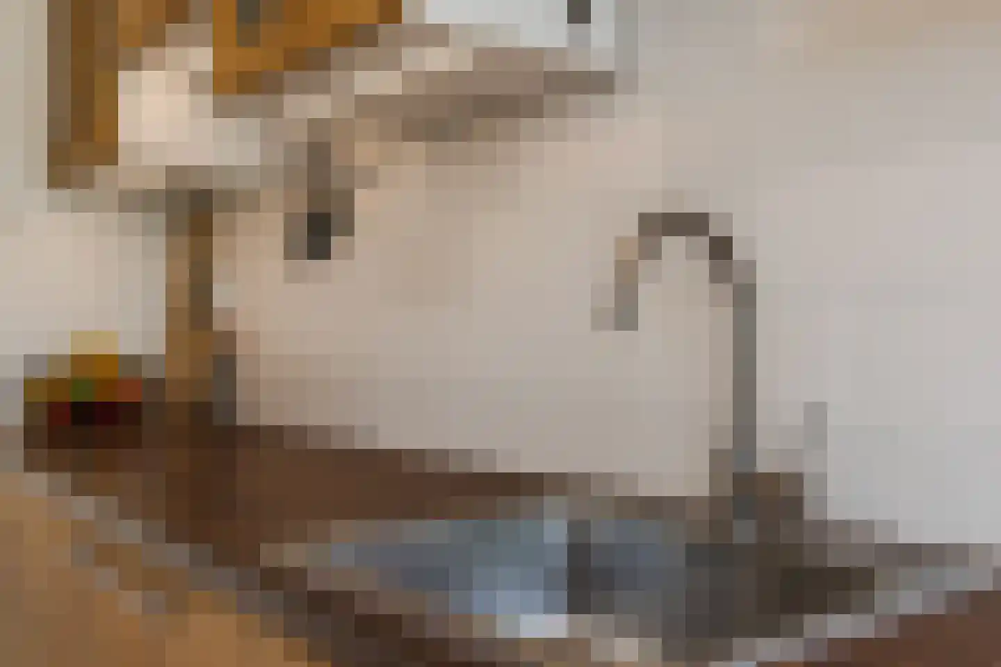 Texel 175 Utrecht thumbnail 16