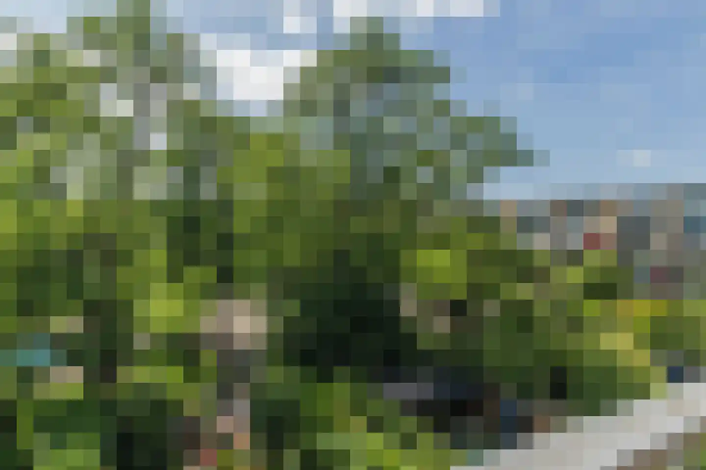 Texel 175 Utrecht thumbnail 19