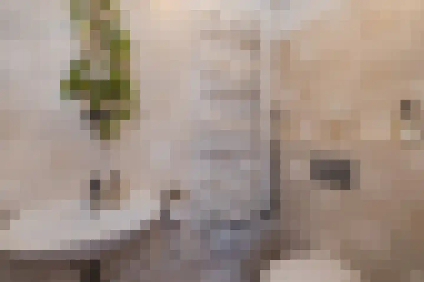 Texel 175 Utrecht thumbnail 25