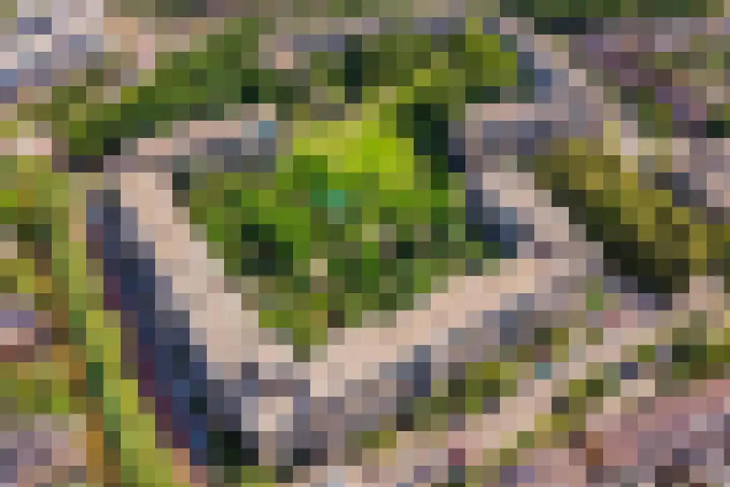 Texel 175 Utrecht thumbnail 41