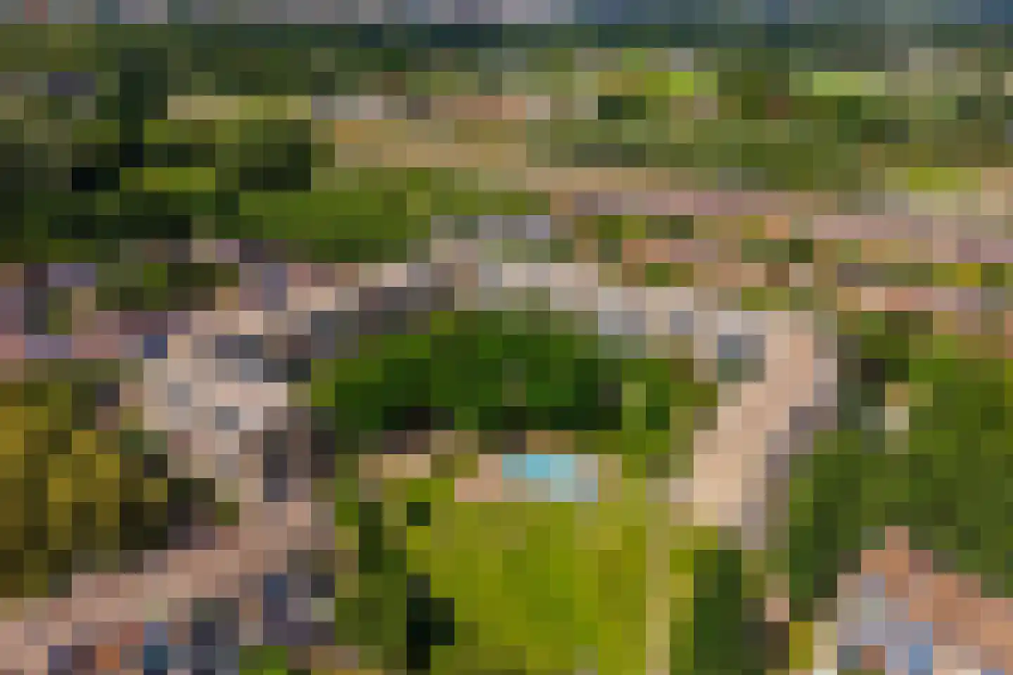 Texel 175 Utrecht thumbnail 42