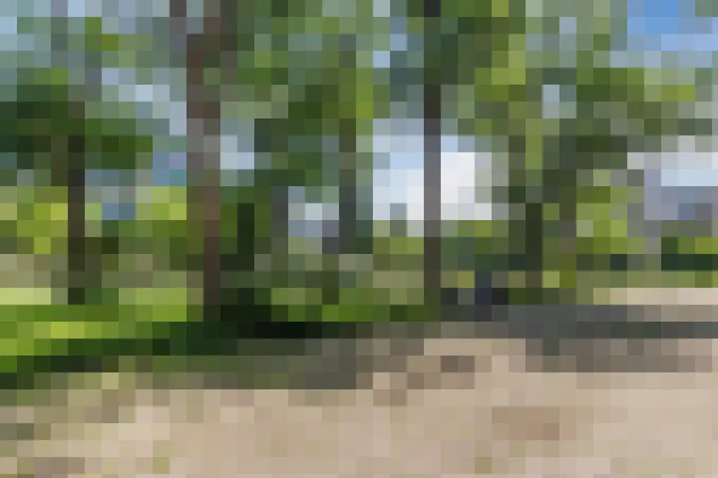 Texel 175 Utrecht thumbnail 47