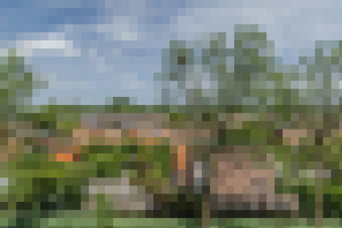 Texel 175 Utrecht thumbnail 48