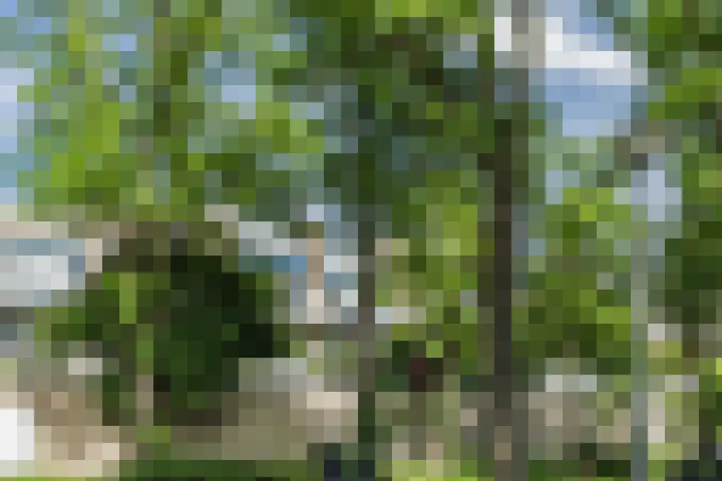 Texel 175 Utrecht thumbnail 49