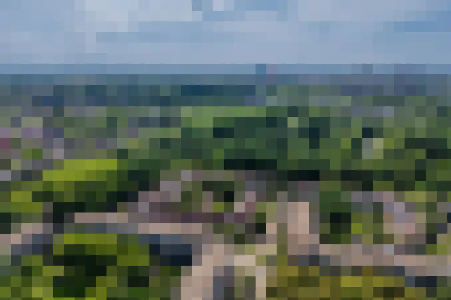 Texel 175 Utrecht thumbnail 52