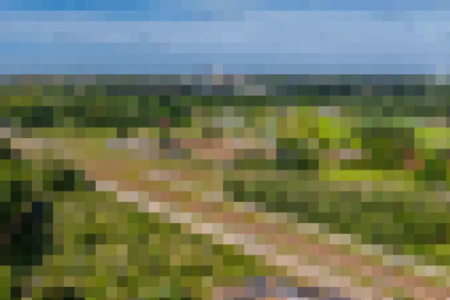 Texel 175 Utrecht thumbnail 53