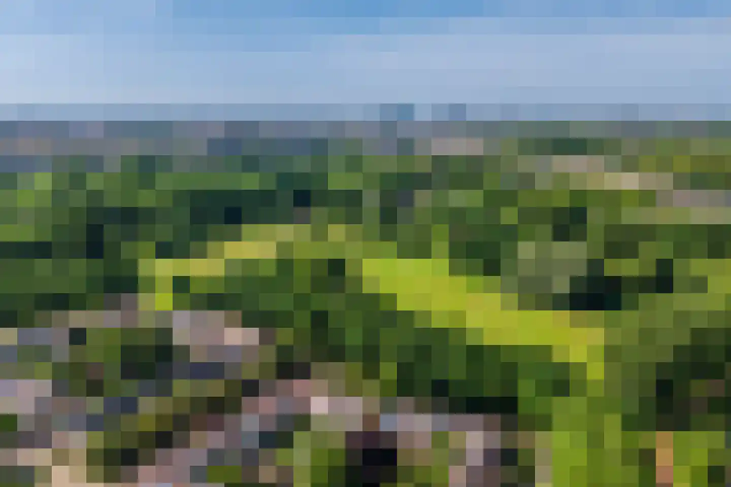 Texel 175 Utrecht thumbnail 54