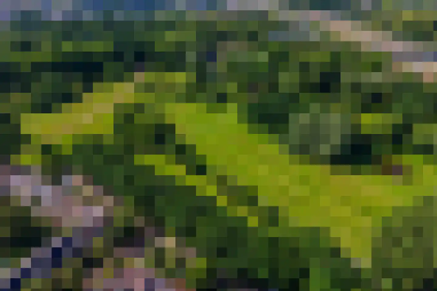 Texel 175 Utrecht thumbnail 55