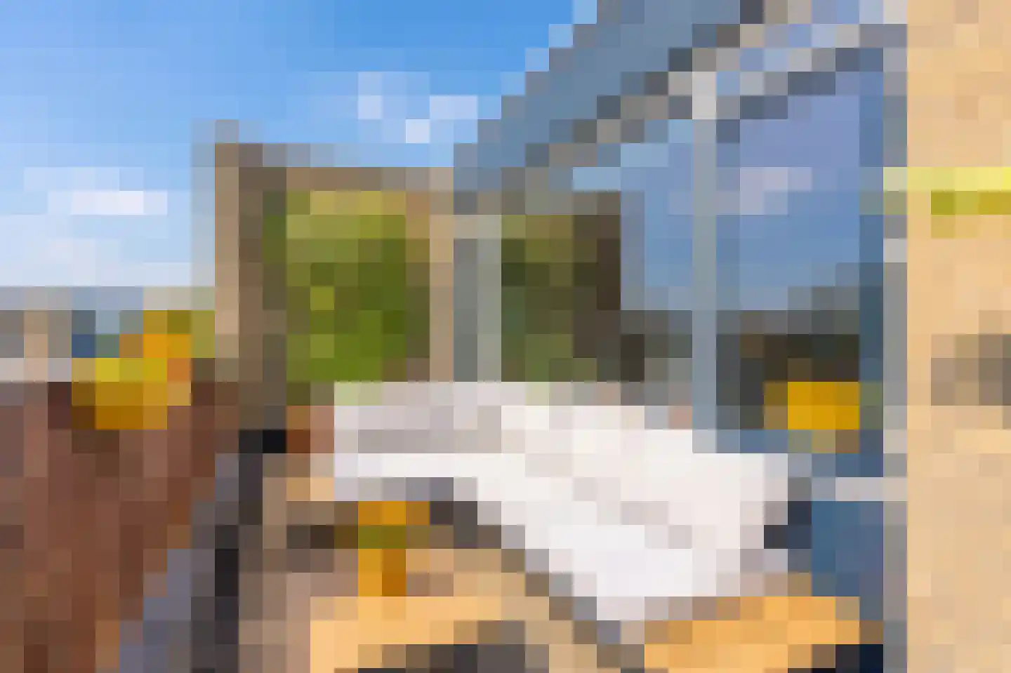 Texel 201 Utrecht thumbnail 19