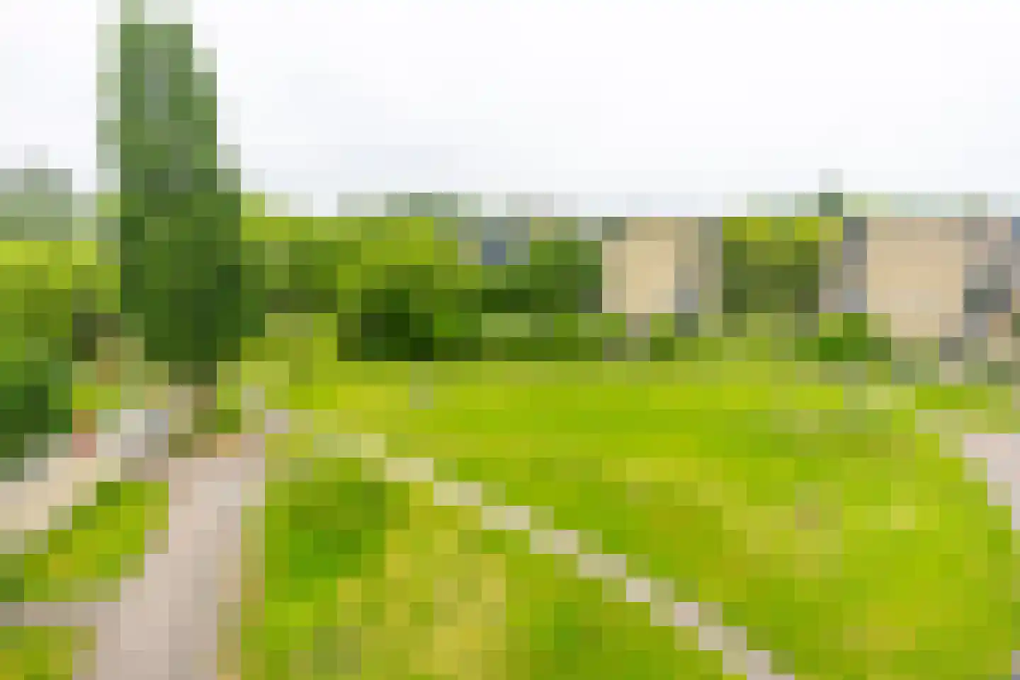 Texel 201 Utrecht thumbnail 34