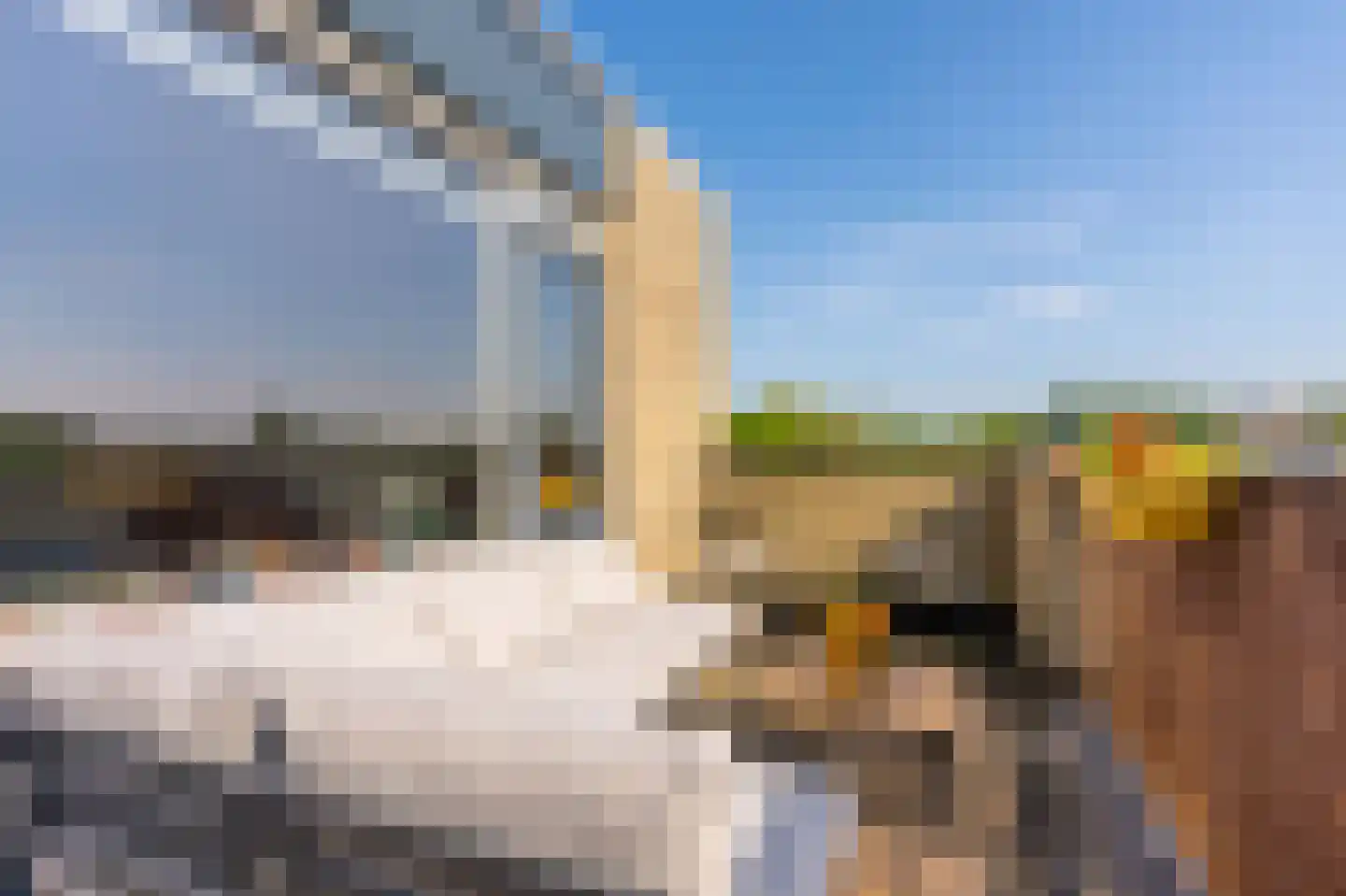 Texel 201 Utrecht thumbnail 4