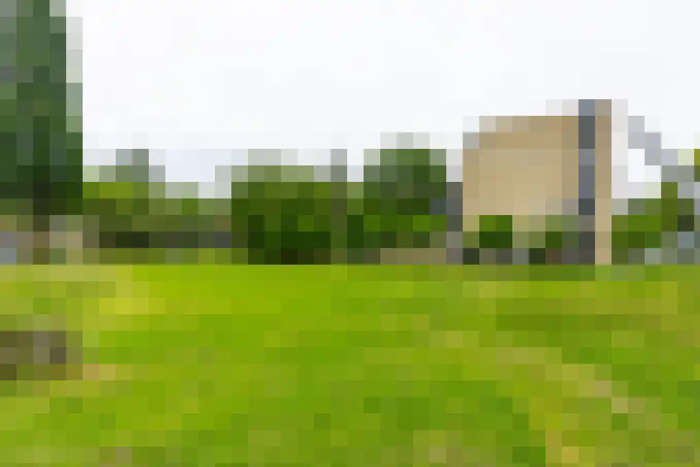 Texel 201 Utrecht thumbnail 40