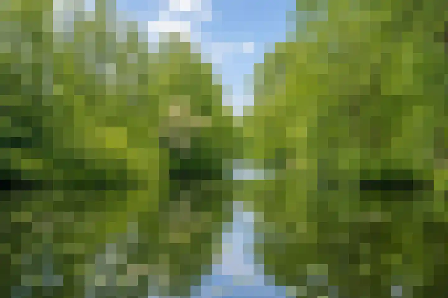 Texel 201 Utrecht thumbnail 41