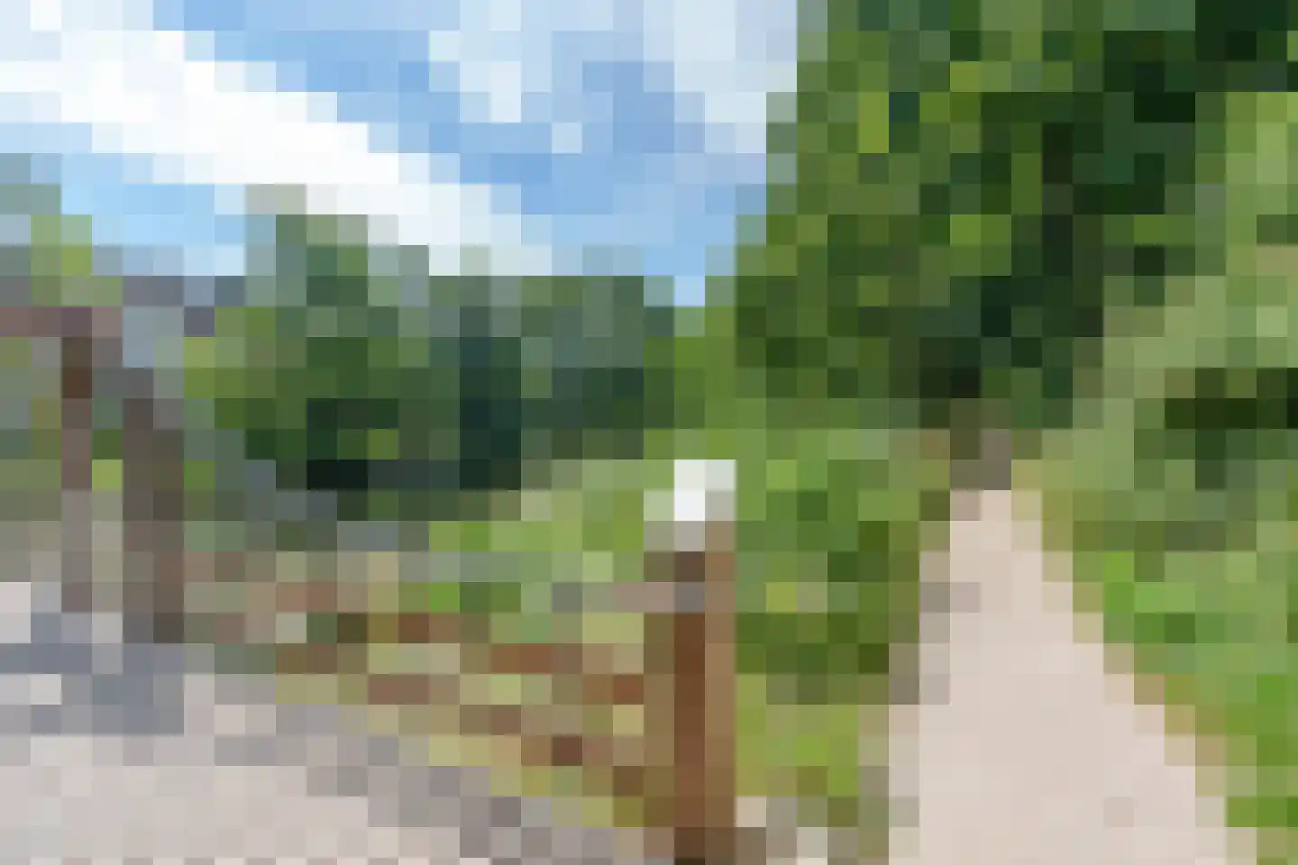 Texel 201 Utrecht thumbnail 44