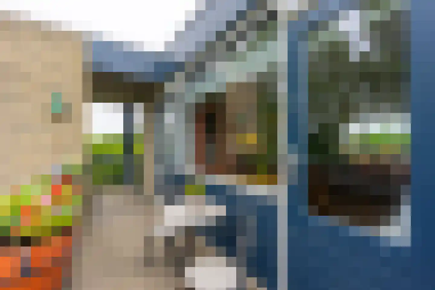 Texel 201 Utrecht thumbnail 7