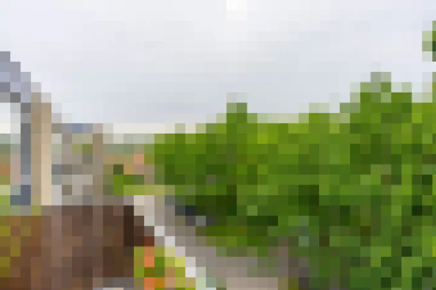 Texel 201 Utrecht thumbnail 8