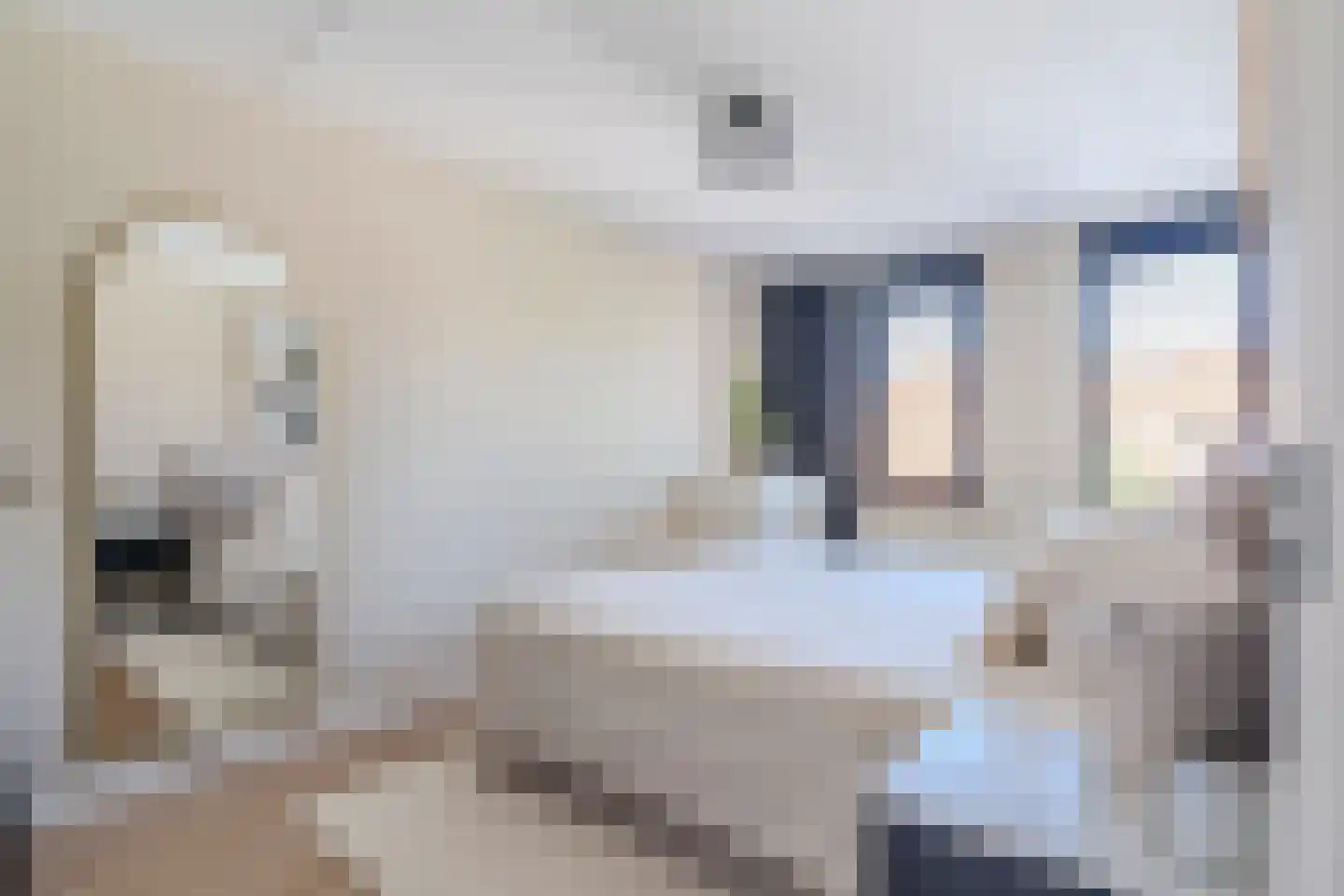 Texel 4 Heemskerk thumbnail 28