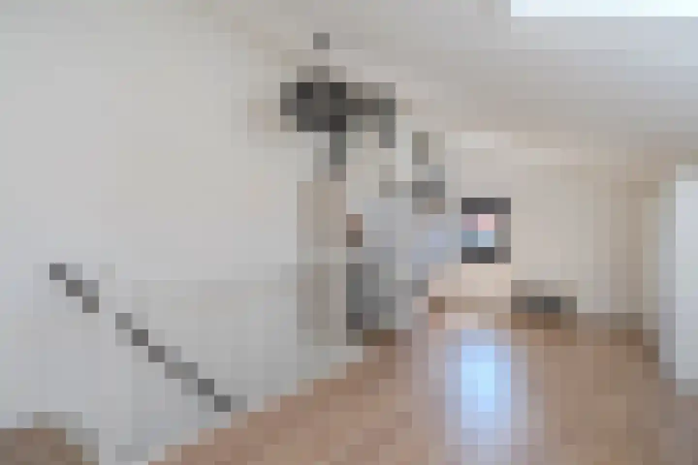 Texel 4 Heemskerk thumbnail 41