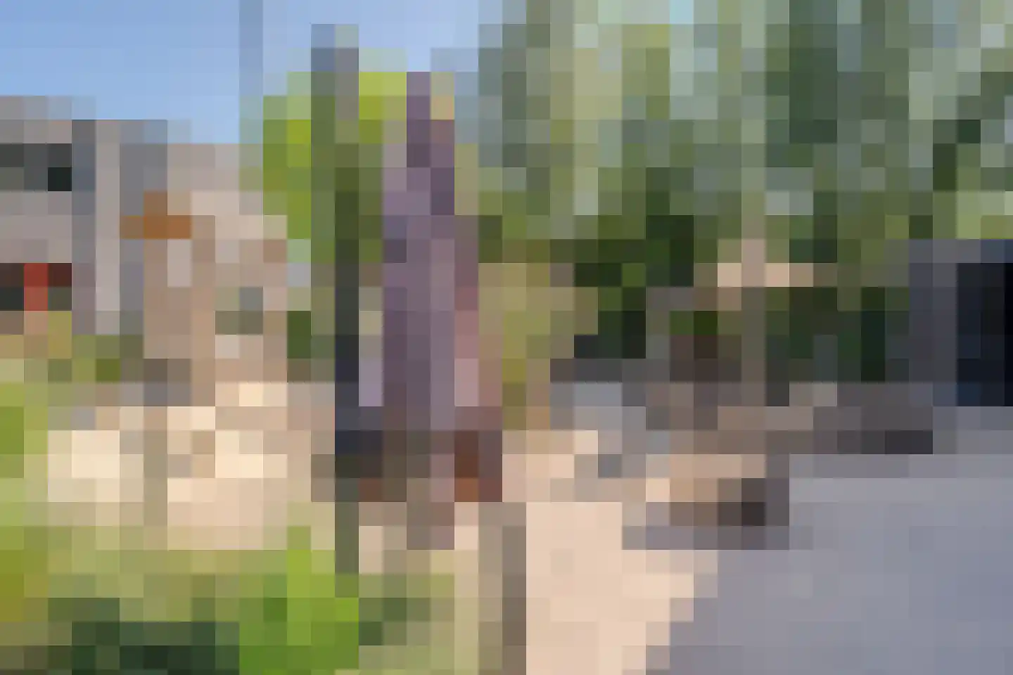 Texel 4 Heemskerk thumbnail 58