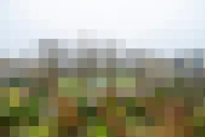 Texel 55 Utrecht thumbnail 14