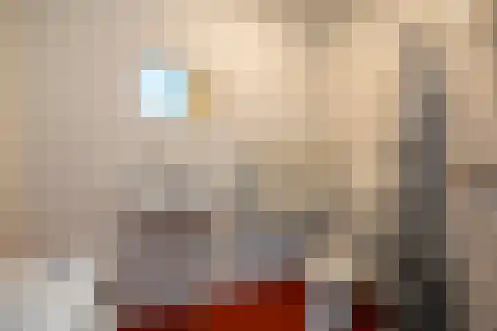Texel 55 Utrecht thumbnail 18