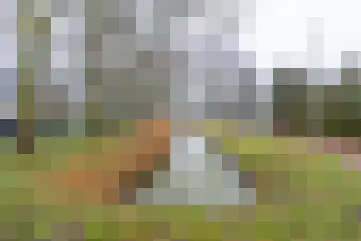 Texel 55 Utrecht thumbnail 21