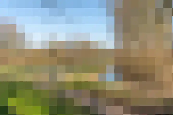 Texel 55 Utrecht thumbnail 22