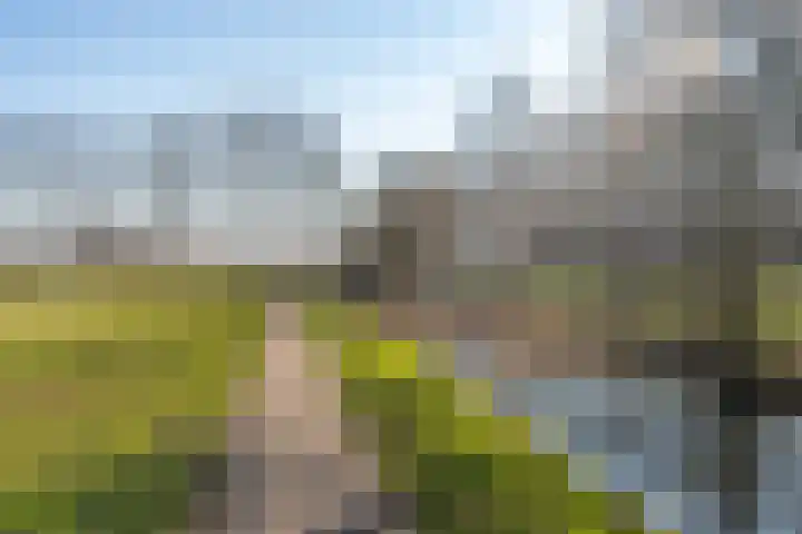 Texel 55 Utrecht thumbnail 23