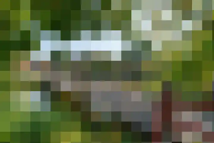 Texel 55 Utrecht thumbnail 26